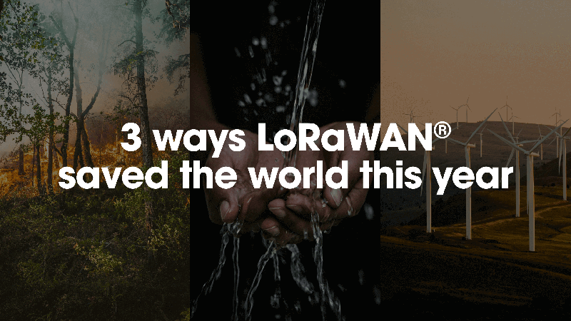 3 ways LoRaWAN® saved the world this year